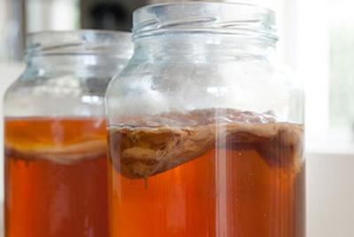 红茶菌究竟如何,红茶菌怎么制作方法窍门