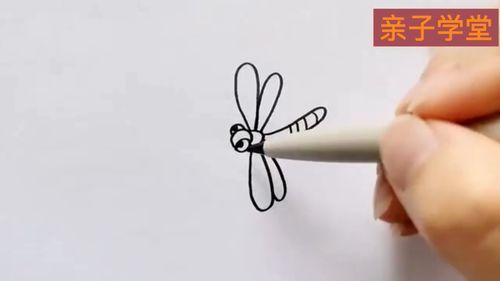 蜻蜓绘画入门书籍推荐(蜻蜓绘画作品)
