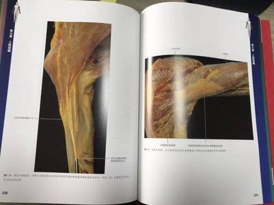 解剖芯片系列书籍推荐(芯片解剖图片)