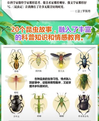 蜂类科普书籍推荐(中国常见蜂类大全书籍推荐)