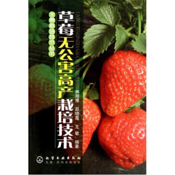 草莓英语学习书籍推荐(草莓英语怎样讲)
