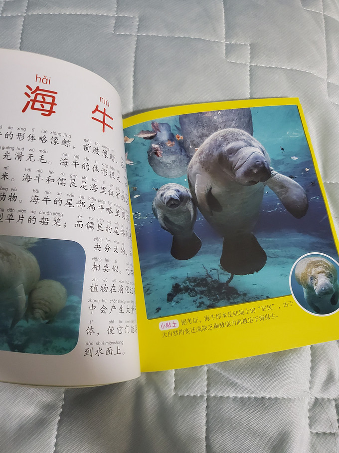 海洋动物潜水书籍推荐(海洋动物潜水书籍推荐)