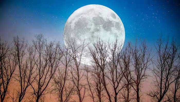 关于月亮的诗句(关于月亮的诗句和神话传说)