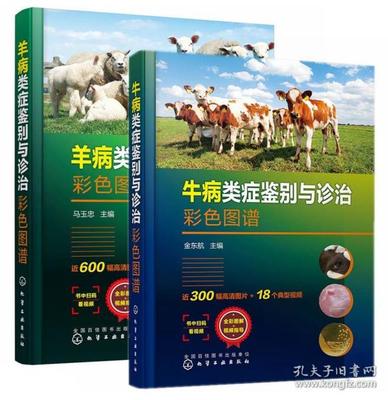 兽医养牛技术书籍推荐(养牛的兽医)