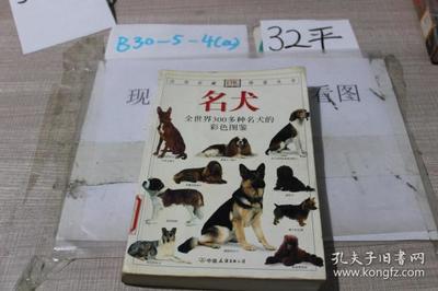 经典名犬图鉴书籍推荐(名犬鉴赏)