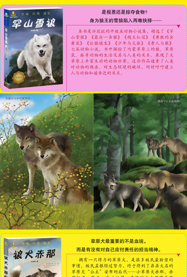儿童动物狼书籍推荐(小学生看的关于狼的书籍)